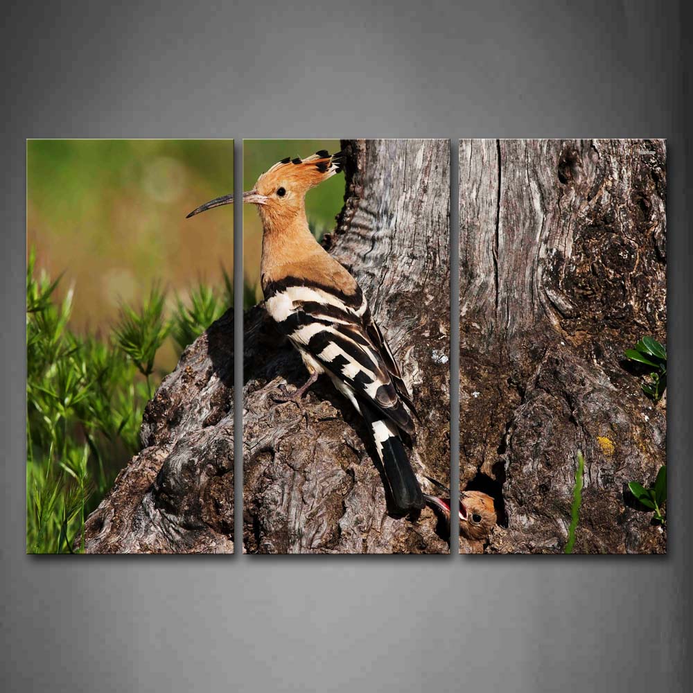 Hoopoe Stand On Dry Wood Near Its Nest Wall Art Painting Pictures Print On Canvas Animal The Picture For Home Modern Decoration 