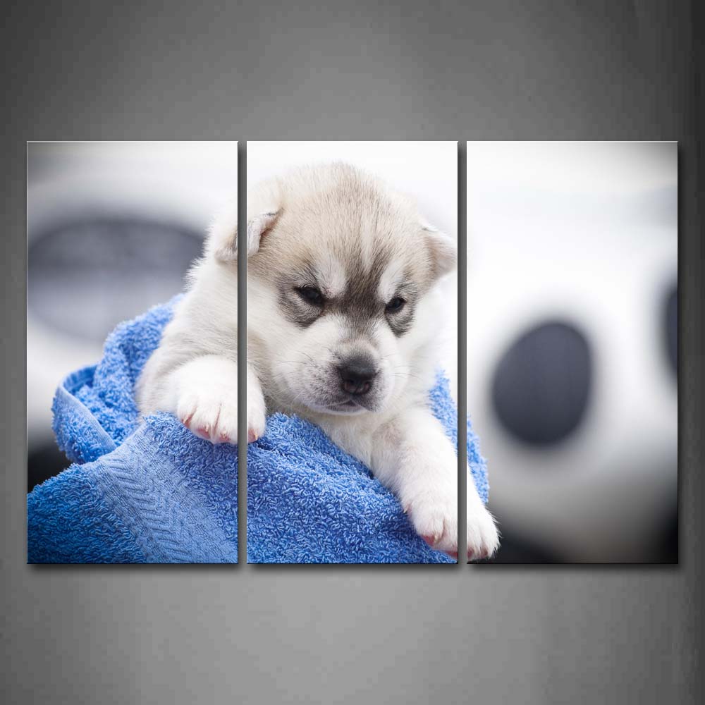 Cub Dog In Blue Blanket Wall Art Painting The Picture Print On Canvas Animal Pictures For Home Decor Decoration Gift 