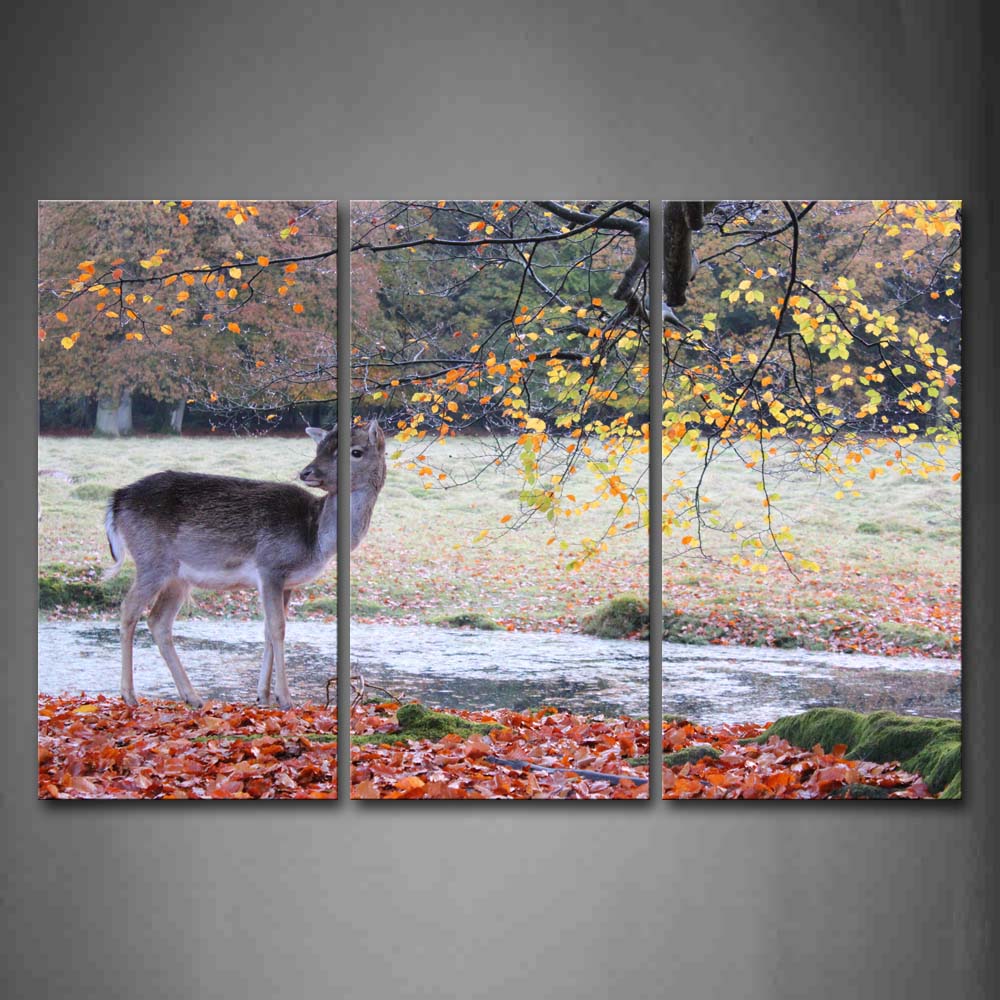 Deer Stand On Land Fallen Maple Leafs River Tree Wall Art Painting Pictures Print On Canvas Animal The Picture For Home Modern Decoration 