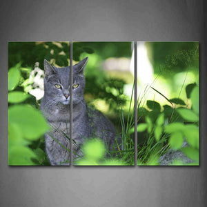 Gray Cat Sit Behind Plant Wall Art Painting The Picture Print On Canvas Animal Pictures For Home Decor Decoration Gift 