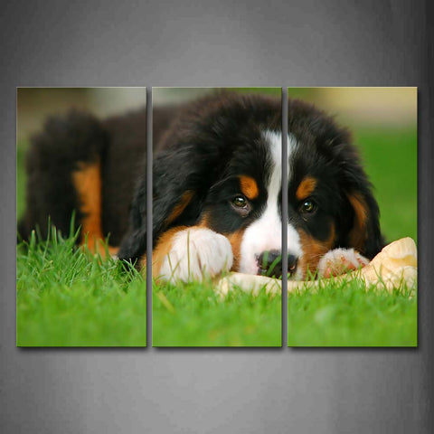 Dog Sit On Grass With Bone Wall Art Painting Pictures Print On Canvas Animal The Picture For Home Modern Decoration 