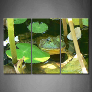 Green Frog Stop In Water Lotus Leaf Wall Art Painting Pictures Print On Canvas Animal The Picture For Home Modern Decoration 