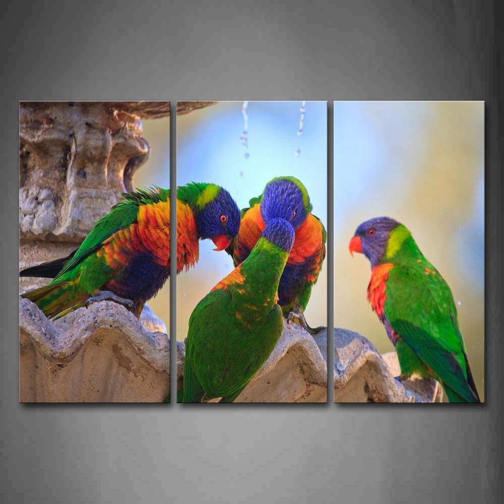 Four Rainbow Lorikeets Stand On Rock  Wall Art Painting The Picture Print On Canvas Animal Pictures For Home Decor Decoration Gift 