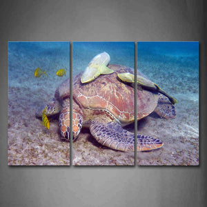 Turtle In Sea With Fishs Wall Art Painting The Picture Print On Canvas Animal Pictures For Home Decor Decoration Gift 