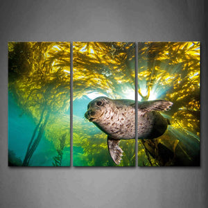 Seal Swiming In Sea Water Plant Wall Art Painting Pictures Print On Canvas Animal The Picture For Home Modern Decoration 