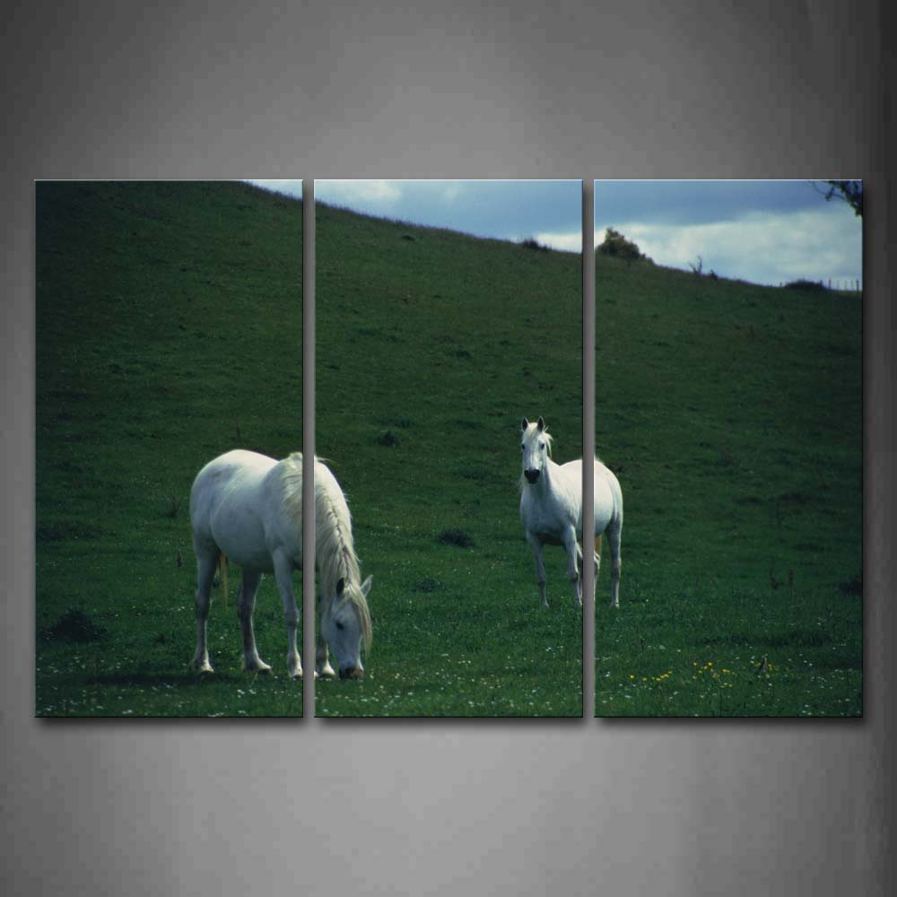 Two White Horses Stand On Grassland Wall Art Painting The Picture Print On Canvas Animal Pictures For Home Decor Decoration Gift 