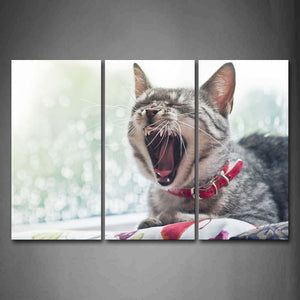 A Cat Open Mouth Lie On Blanket Wall Art Painting The Picture Print On Canvas Animal Pictures For Home Decor Decoration Gift 