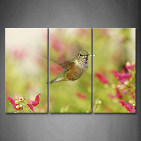 Hummingbird Fly Over Pink Flower Wall Art Painting Pictures Print On Canvas Animal The Picture For Home Modern Decoration 