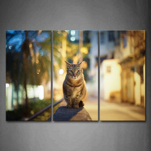 Cat Sit On Fence Tree Street Wall Art Painting The Picture Print On Canvas Animal Pictures For Home Decor Decoration Gift 