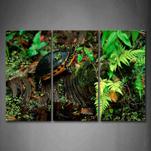 Turtle Crawl In Forest Plant Moss Wall Art Painting Pictures Print On Canvas Animal The Picture For Home Modern Decoration 