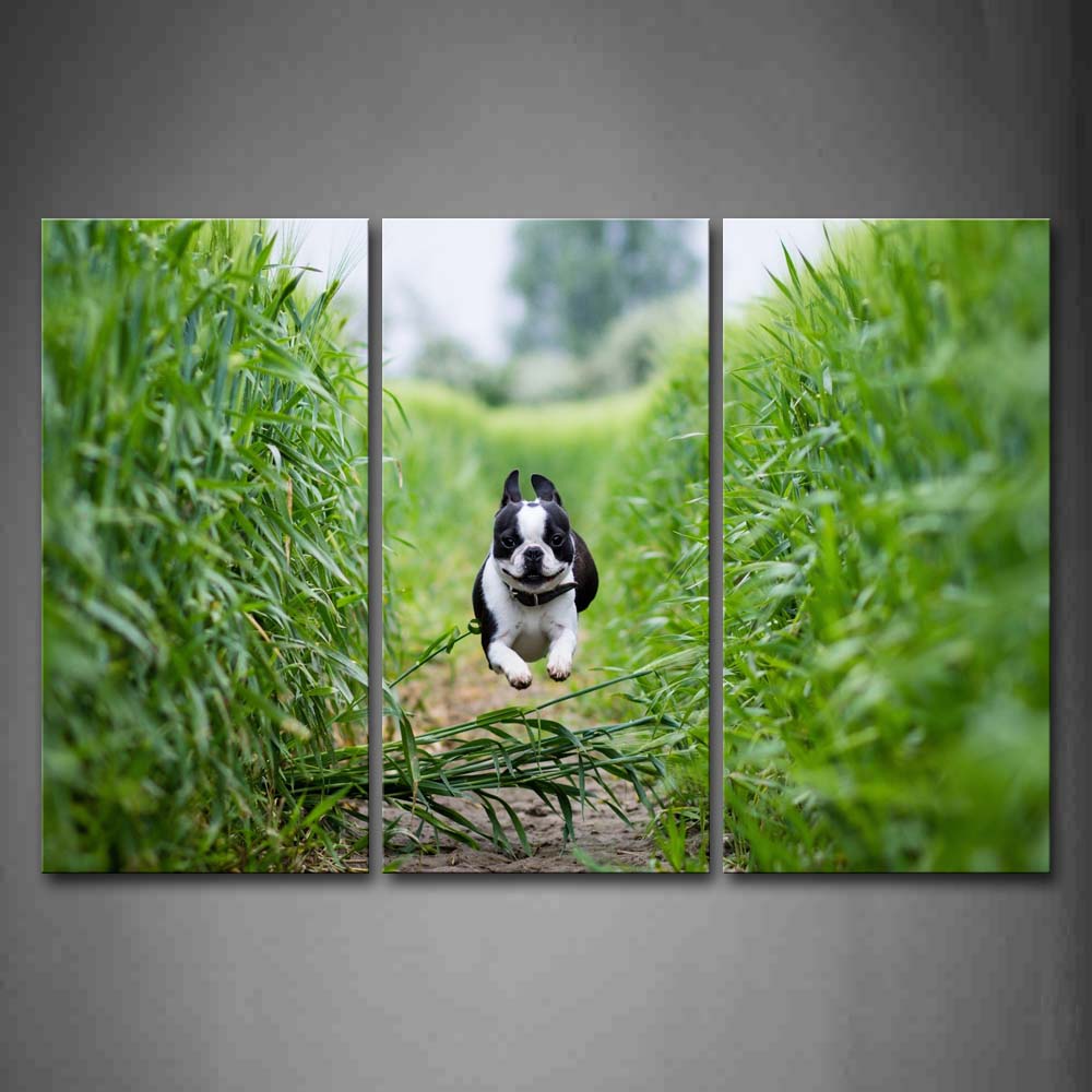 French Bulldog Running On Path Between Green Plant Wall Art Painting The Picture Print On Canvas Animal Pictures For Home Decor Decoration Gift 