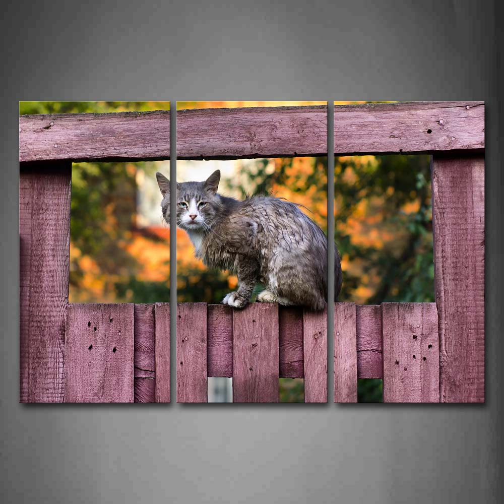 Gray Cat Sit On Fence Trees Wall Art Painting Pictures Print On Canvas Animal The Picture For Home Modern Decoration 