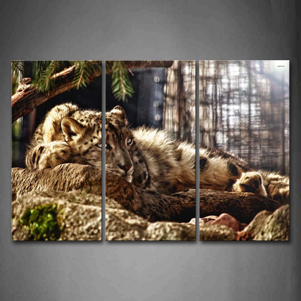 Snow Leopard Stand On Rock In Forest Wall Art Painting Pictures Print On Canvas Animal The Picture For Home Modern Decoration 