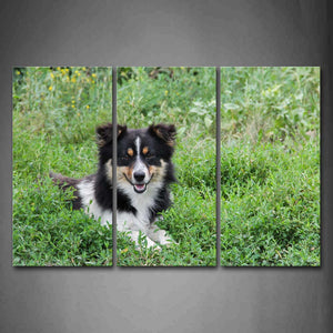 Black And White Dog Sit In Grass Wall Art Painting The Picture Print On Canvas Animal Pictures For Home Decor Decoration Gift 