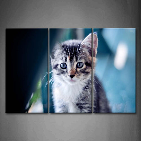 Portrait Of Cat Cute Wall Art Painting Pictures Print On Canvas Animal The Picture For Home Modern Decoration 