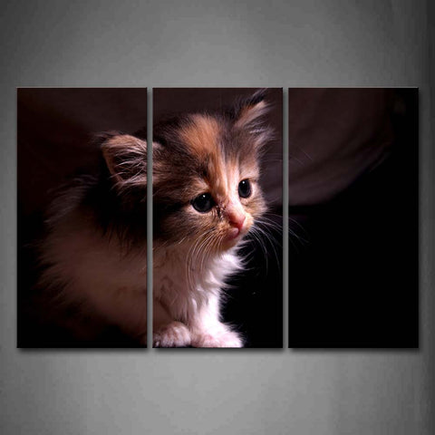 Portrait Of Cat Black Background  Wall Art Painting The Picture Print On Canvas Animal Pictures For Home Decor Decoration Gift 