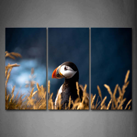 Puffin In Dry Grass Wall Art Painting The Picture Print On Canvas Animal Pictures For Home Decor Decoration Gift 