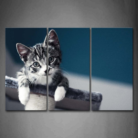 Cat Bend Over  Portrait Wall Art Painting Pictures Print On Canvas Animal The Picture For Home Modern Decoration 