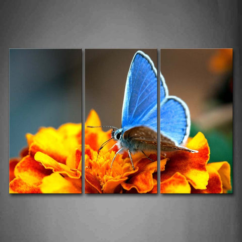 Blue Butterfly Stop On Yellow Flower Wall Art Painting The Picture Print On Canvas Animal Pictures For Home Decor Decoration Gift 