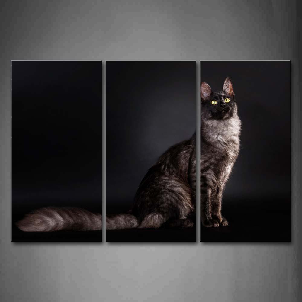 Cat Sit In Dark Background Wall Art Painting Pictures Print On Canvas Animal The Picture For Home Modern Decoration 