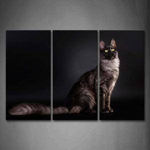 Cat Sit In Dark Background Wall Art Painting Pictures Print On Canvas Animal The Picture For Home Modern Decoration 