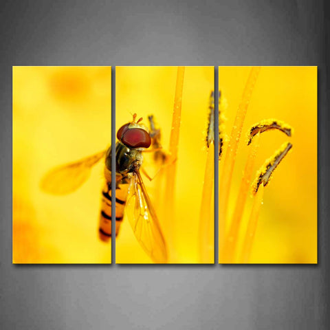 Insect Stop On Yellow Flower Wall Art Painting The Picture Print On Canvas Animal Pictures For Home Decor Decoration Gift 