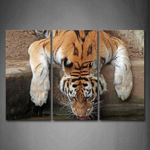 Tiger Bend Over To Driking Water Wall Art Painting The Picture Print On Canvas Animal Pictures For Home Decor Decoration Gift 