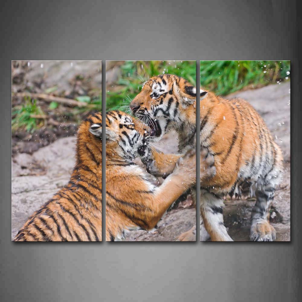 Two Tigers Play In Water Rock Plant Wall Art Painting Pictures Print On Canvas Animal The Picture For Home Modern Decoration 