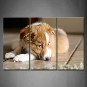 Puppy Lie On Land Inside Room Wall Art Painting The Picture Print On Canvas Animal Pictures For Home Decor Decoration Gift 