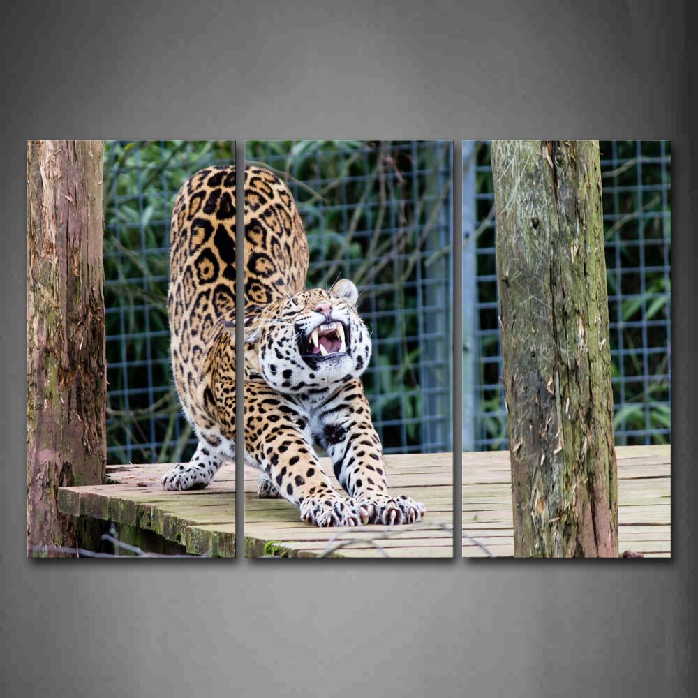 Jaguar Stretch In Zoo Wall Art Painting The Picture Print On Canvas Animal Pictures For Home Decor Decoration Gift 