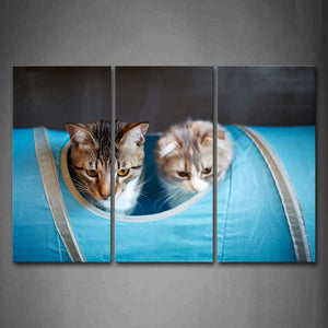 Two Cats In Blue Bag Wall Art Painting Pictures Print On Canvas Animal The Picture For Home Modern Decoration 