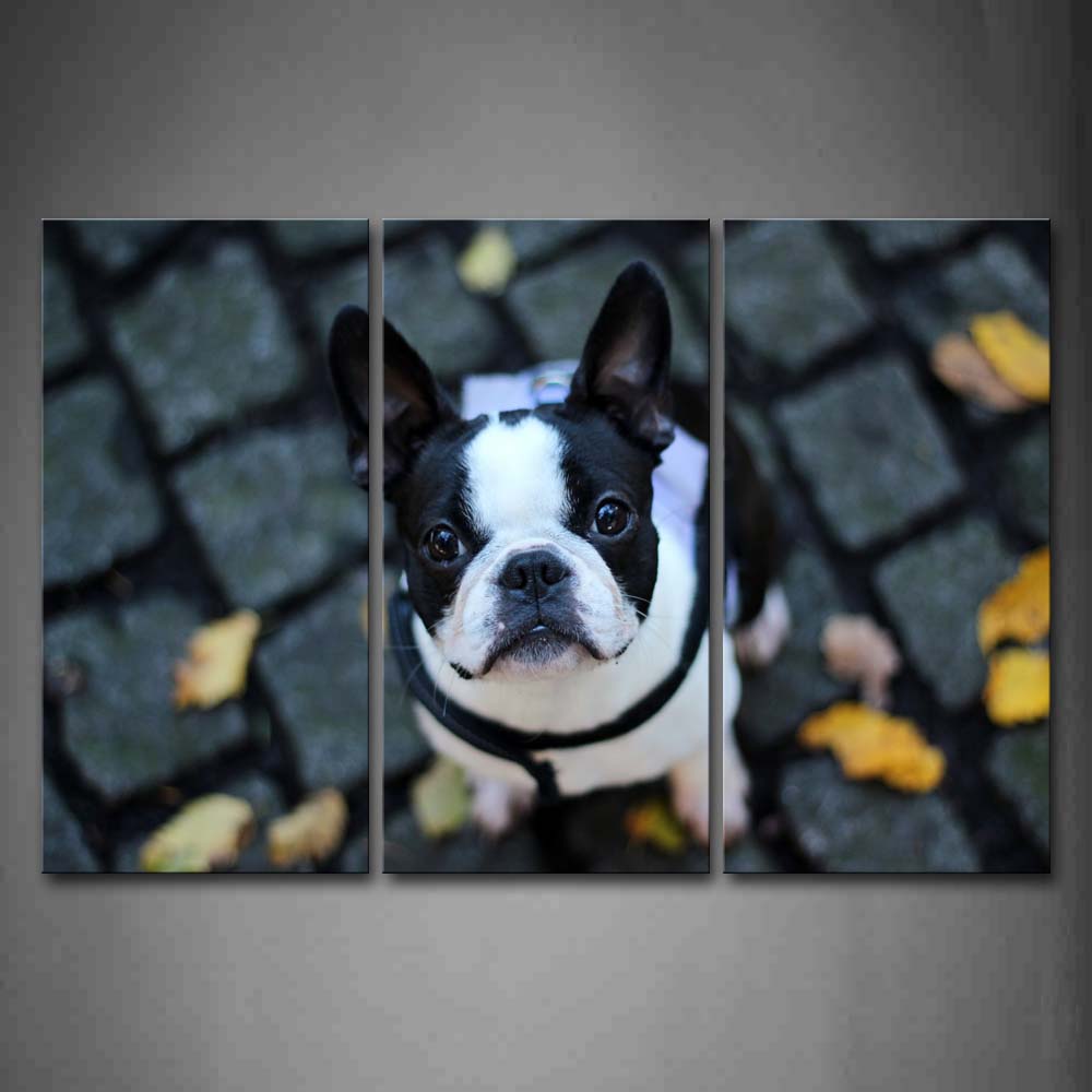 French Bulldog Sit On Land And Look At Fallen Leafs Wall Art Painting The Picture Print On Canvas Animal Pictures For Home Decor Decoration Gift 