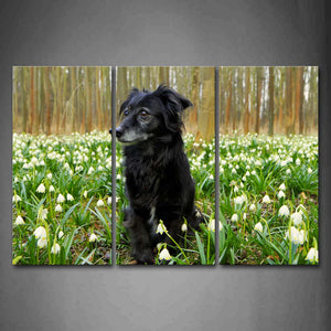 Black Dog Sit On Anthemy Forest Wall Art Painting The Picture Print On Canvas Animal Pictures For Home Decor Decoration Gift 