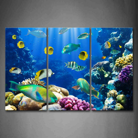 Blue The Bottom Of Sea Scenery Colorful And Different Fishs  Wall Art Painting The Picture Print On Canvas Animal Pictures For Home Decor Decoration Gift 