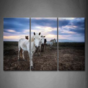 Group Of Horses Stand On Mud Land  Wall Art Painting Pictures Print On Canvas Animal The Picture For Home Modern Decoration 