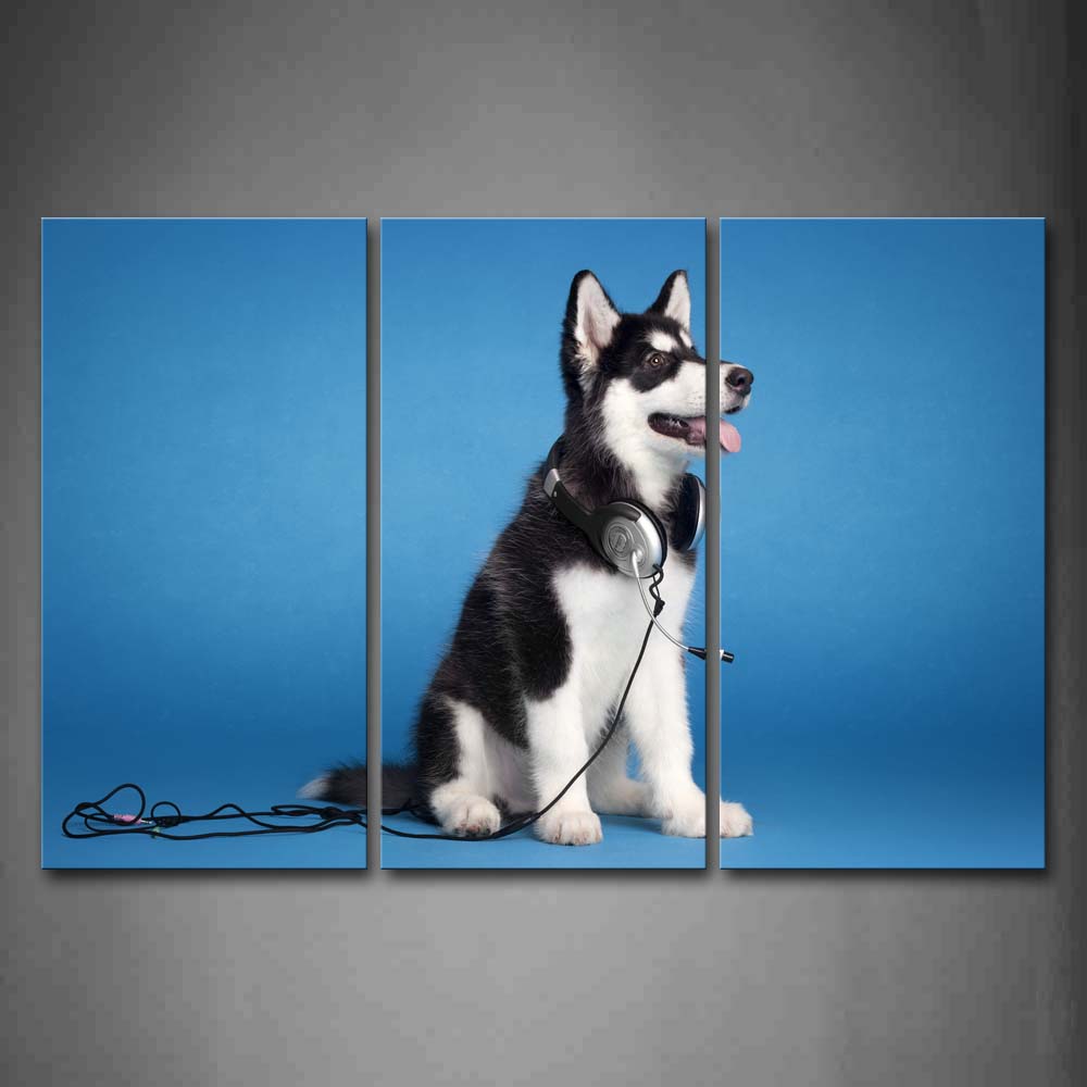 Husky Wear A Headset In Blue Background Wall Art Painting The Picture Print On Canvas Animal Pictures For Home Decor Decoration Gift 