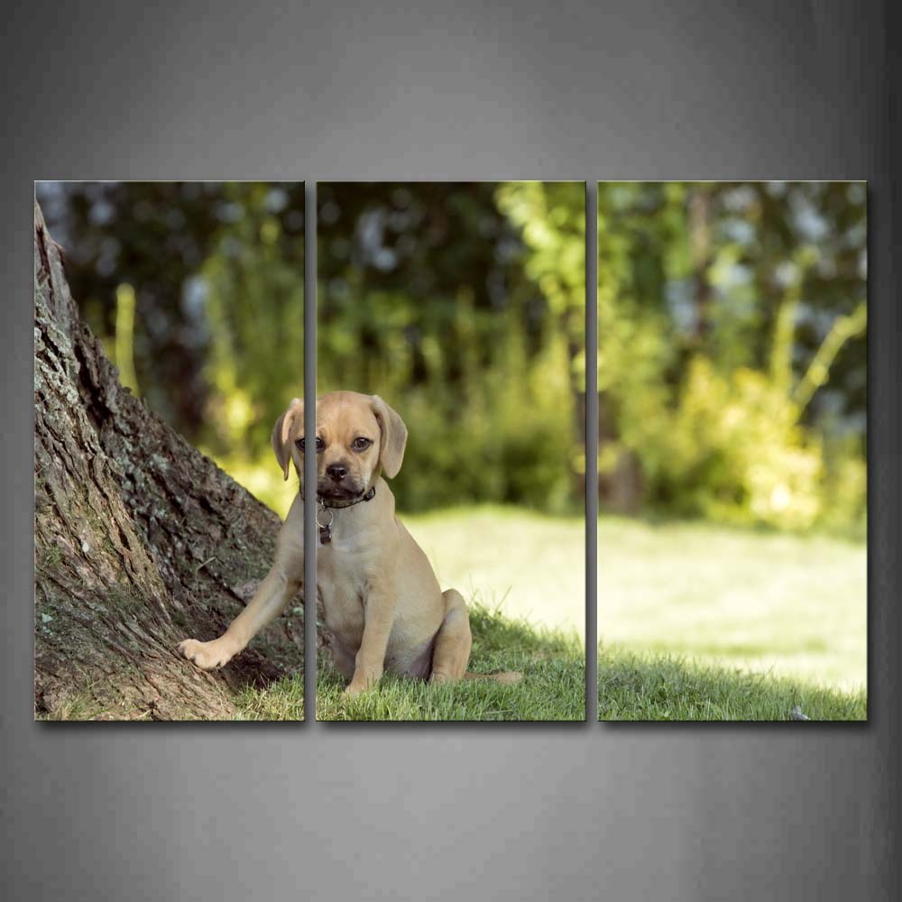 Puppy Sit Under A Tree Grass Wall Art Painting Pictures Print On Canvas Animal The Picture For Home Modern Decoration 