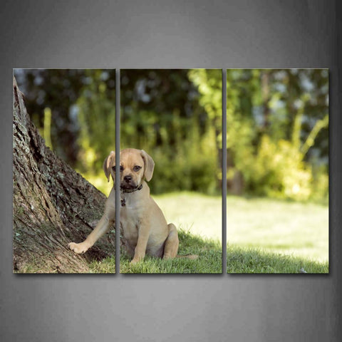 Puppy Sit Under A Tree Grass Wall Art Painting Pictures Print On Canvas Animal The Picture For Home Modern Decoration 