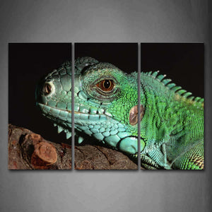 Green Iguana Crawl On Wood Wall Art Painting Pictures Print On Canvas Animal The Picture For Home Modern Decoration 