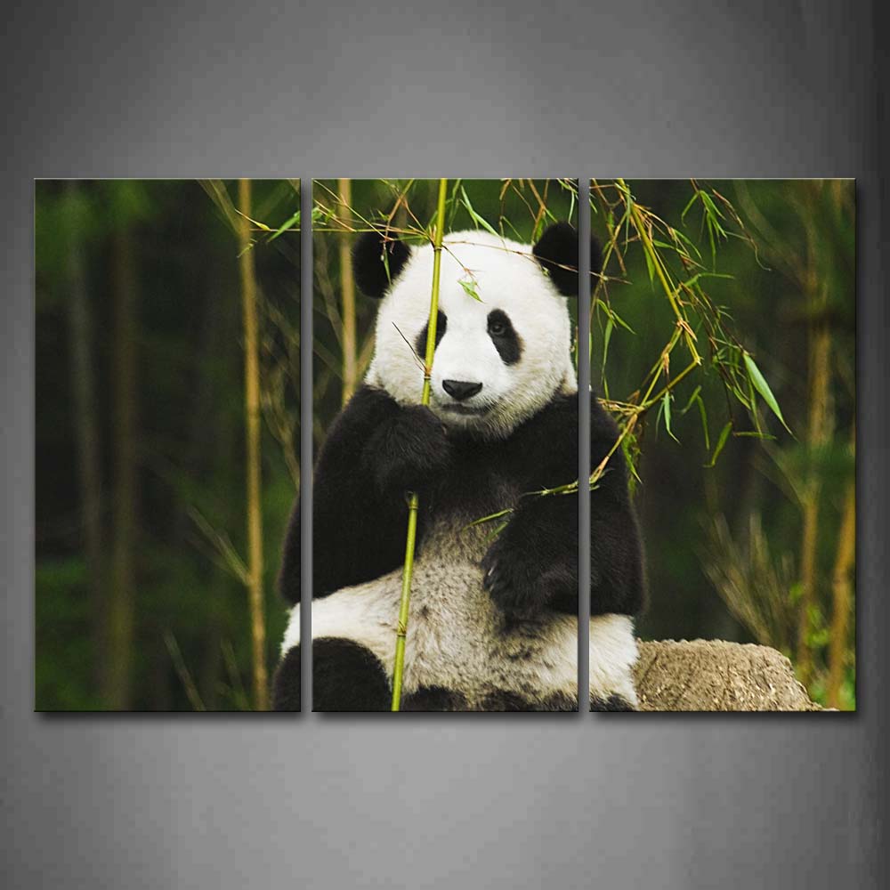 Panda Grasp A Bamboo  Wall Art Painting Pictures Print On Canvas Animal The Picture For Home Modern Decoration 