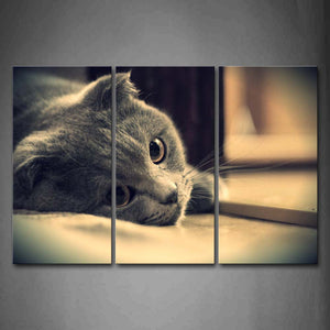 Gray Cat Lie On Land Inside Room Portrait Wall Art Painting The Picture Print On Canvas Animal Pictures For Home Decor Decoration Gift 