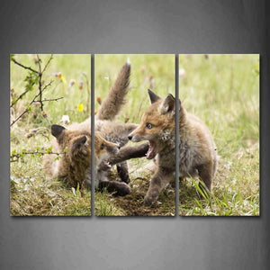 Two Fox Play On Grass Flower Wall Art Painting The Picture Print On Canvas Animal Pictures For Home Decor Decoration Gift 