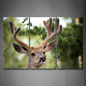 Portrait Of Deer'S Head Tree Wall Art Painting The Picture Print On Canvas Animal Pictures For Home Decor Decoration Gift 