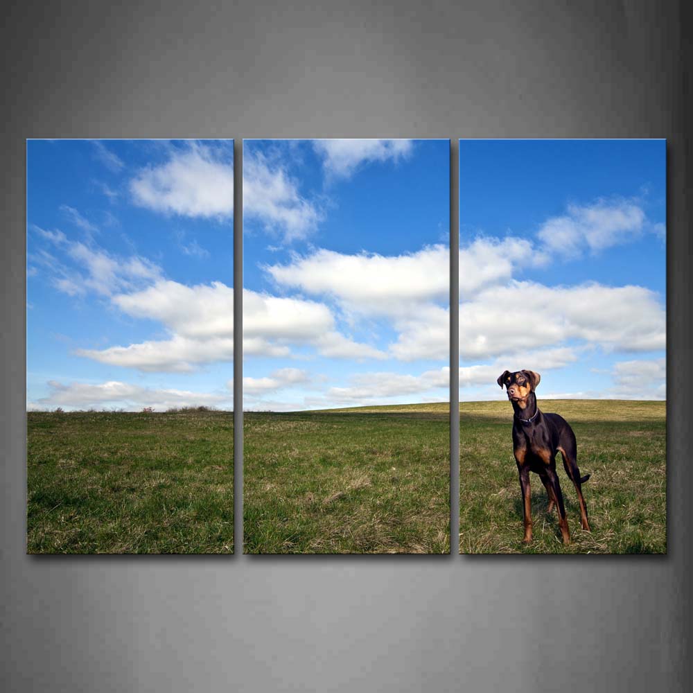 Dog Stand On Grassland Blue Sky Wall Art Painting The Picture Print On Canvas Animal Pictures For Home Decor Decoration Gift 