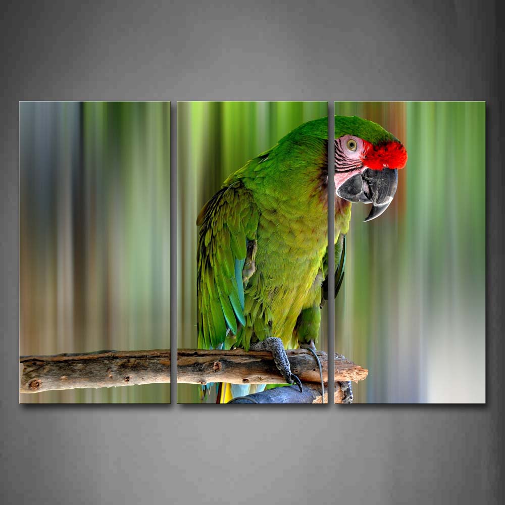 Green Macaw Stand On Branch Wall Art Painting Pictures Print On Canvas Animal The Picture For Home Modern Decoration 