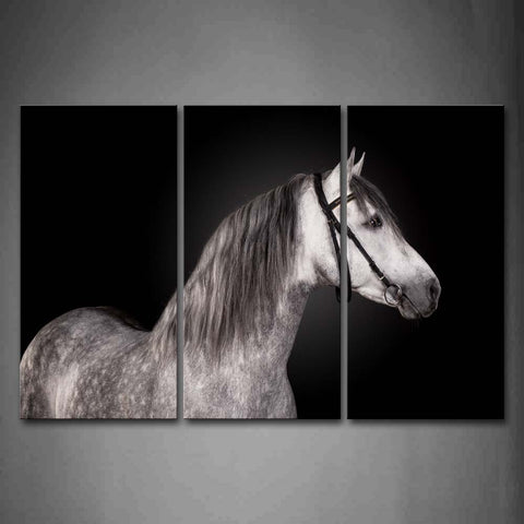 Gray Horse Portrait Black Background Wall Art Painting The Picture Print On Canvas Animal Pictures For Home Decor Decoration Gift 