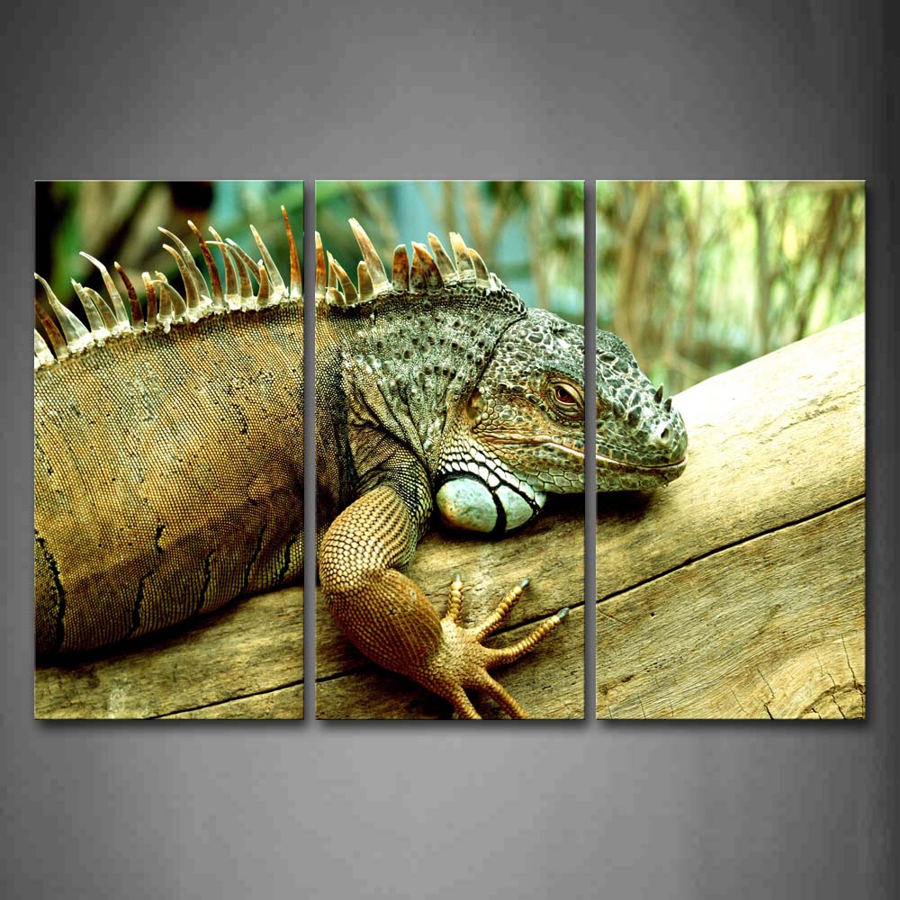 Green Iguana Crawl On Wood Staring Wall Art Painting Pictures Print On Canvas Animal The Picture For Home Modern Decoration 