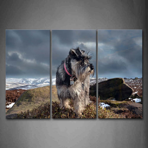 Dog Stand On Rock Grass Snow Mountain Wall Art Painting Pictures Print On Canvas Animal The Picture For Home Modern Decoration 