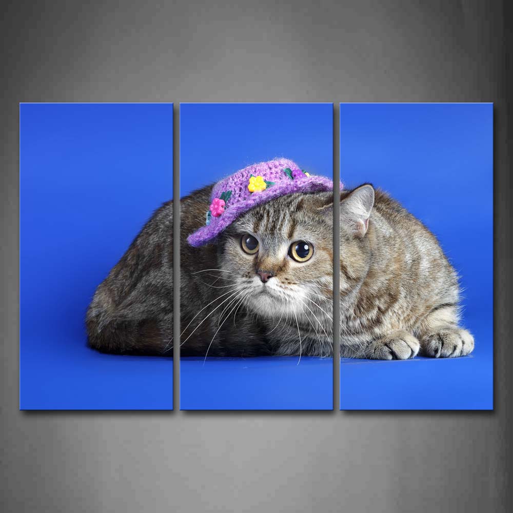 Cat Wear Purple Cap Squat In Blue Background Wall Art Painting The Picture Print On Canvas Animal Pictures For Home Decor Decoration Gift 