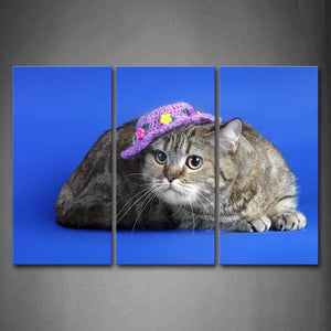 Cat Wear Purple Cap Squat In Blue Background Wall Art Painting The Picture Print On Canvas Animal Pictures For Home Decor Decoration Gift 